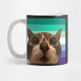 arch says gay rights 2 Mug